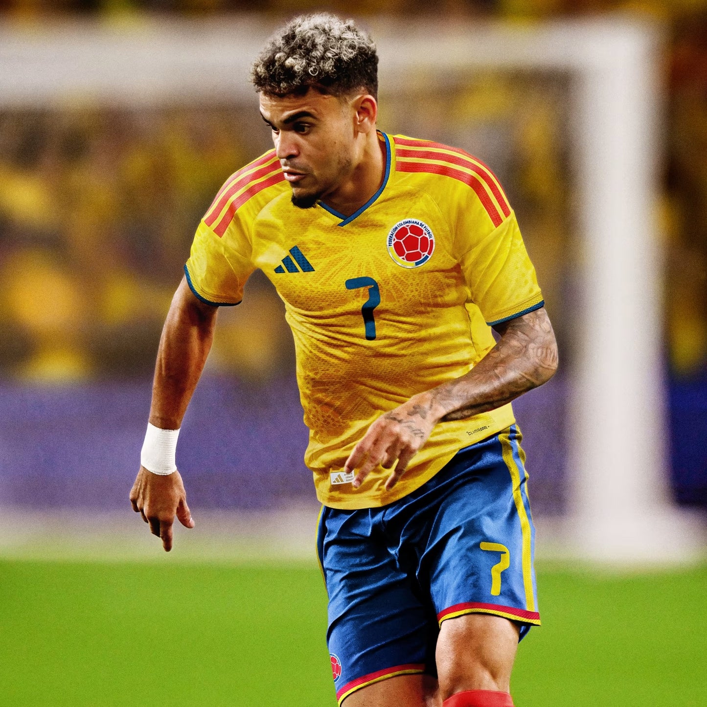 CAMISETA SELECCION COLOMBIA
